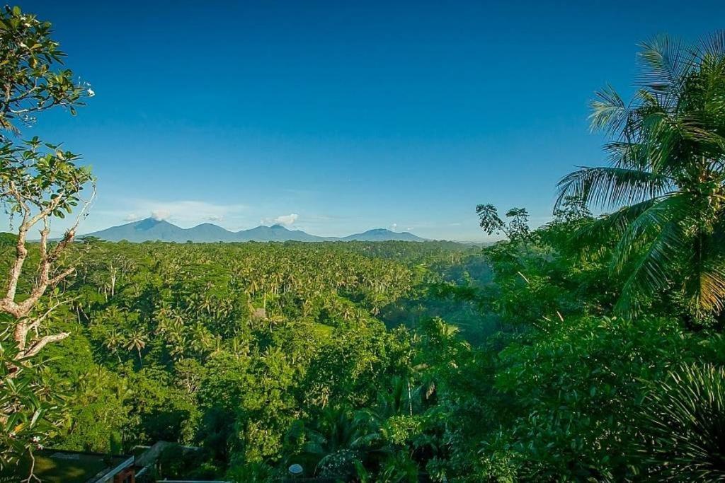 Sayan Terrace Resort Ubud Buitenkant foto