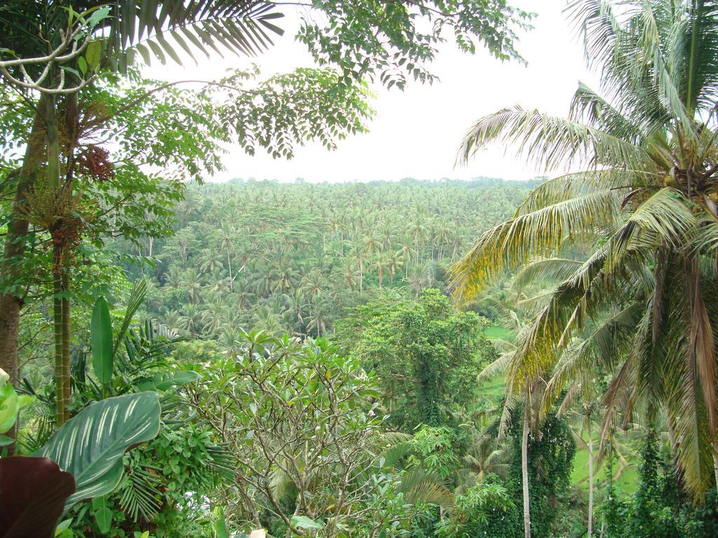 Sayan Terrace Resort Ubud Buitenkant foto