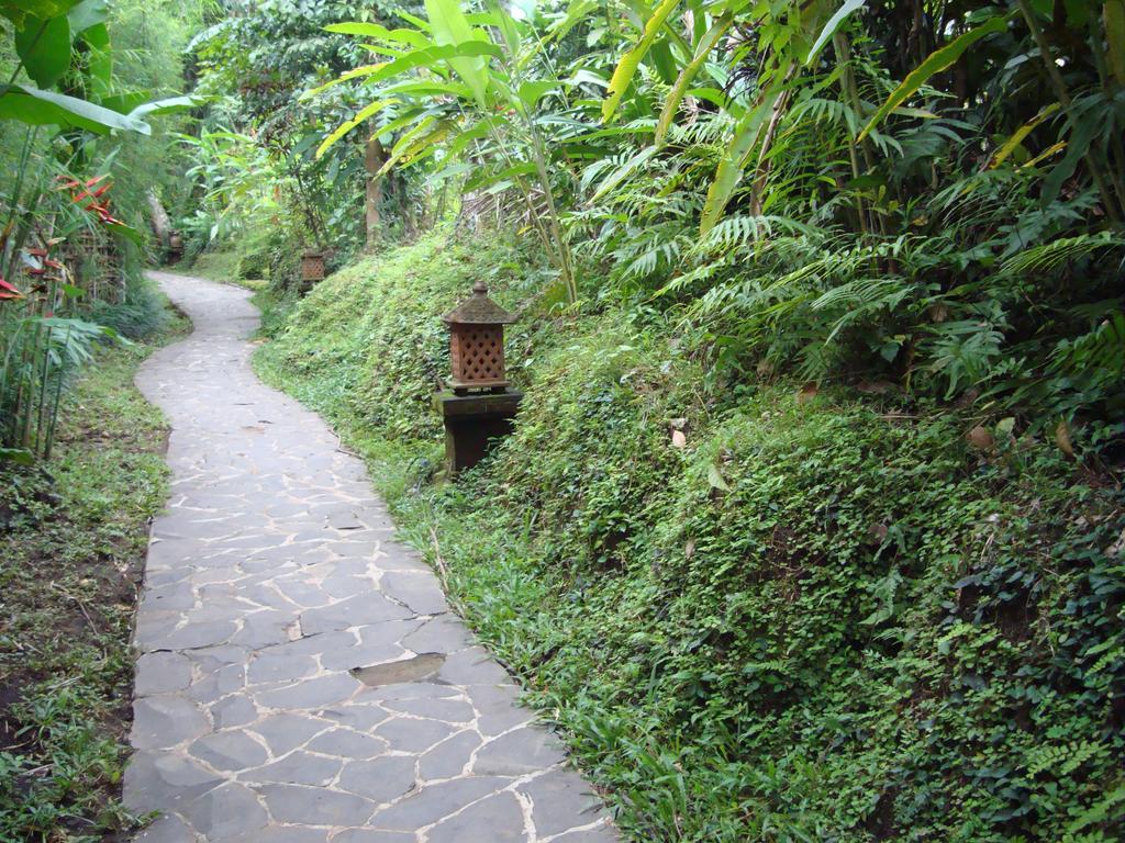 Sayan Terrace Resort Ubud Buitenkant foto