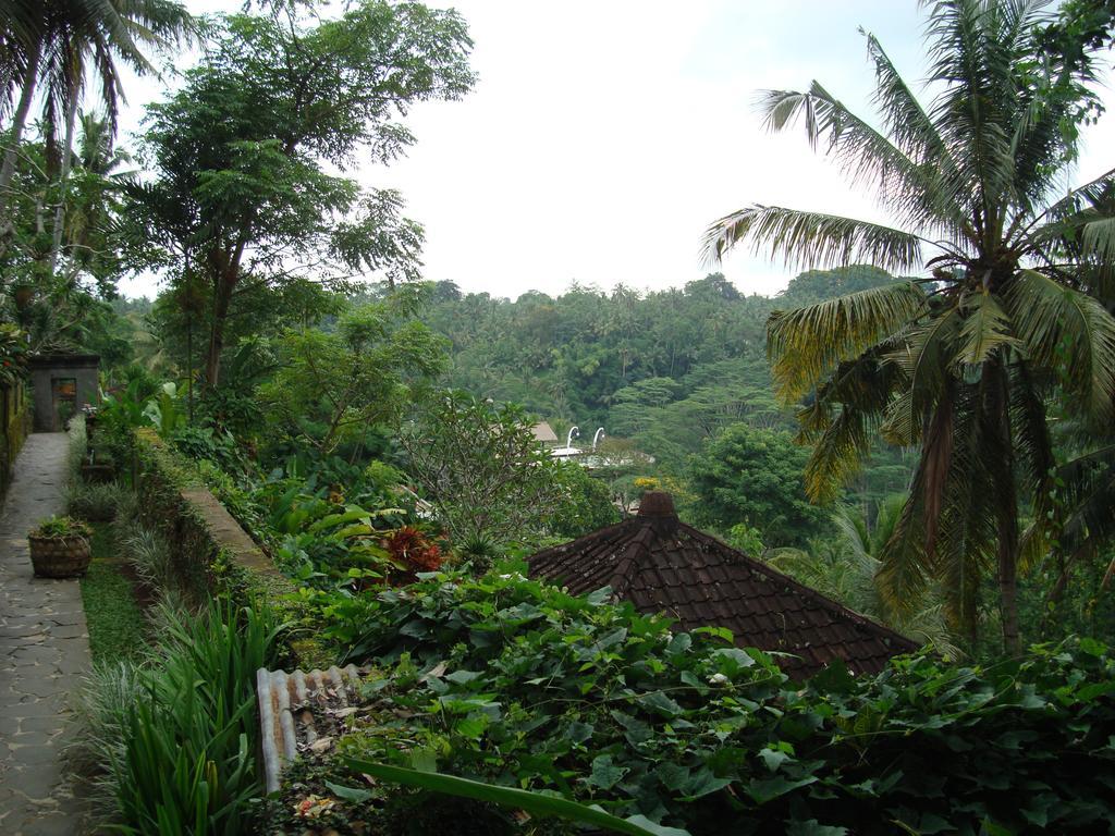 Sayan Terrace Resort Ubud Buitenkant foto