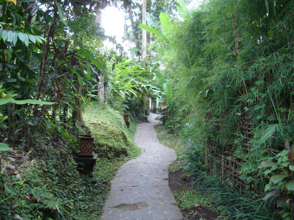 Sayan Terrace Resort Ubud Kamer foto